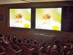 OLYMPUS DIGITAL CAMERA